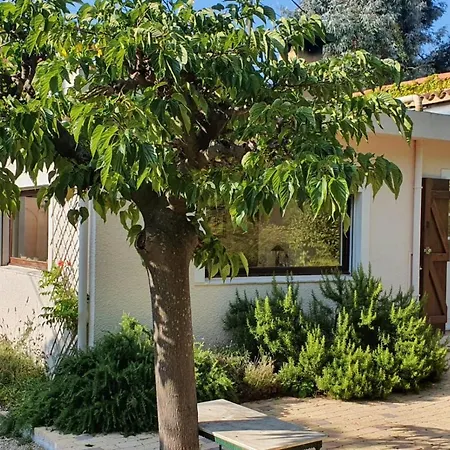 Haus Mit Garten Ueber Der Bucht Von Cannes * Vallauris